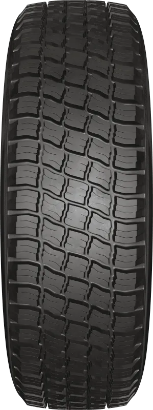 KAMA-219 в Пудоже — KAMA TYRES KAMA-219 в Пудоже